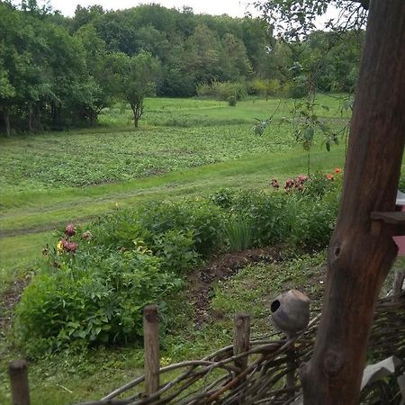 Maliovnytsya Pension Dybintsy Buitenkant foto