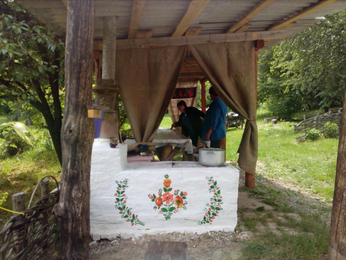 Maliovnytsya Pension Dybintsy Buitenkant foto