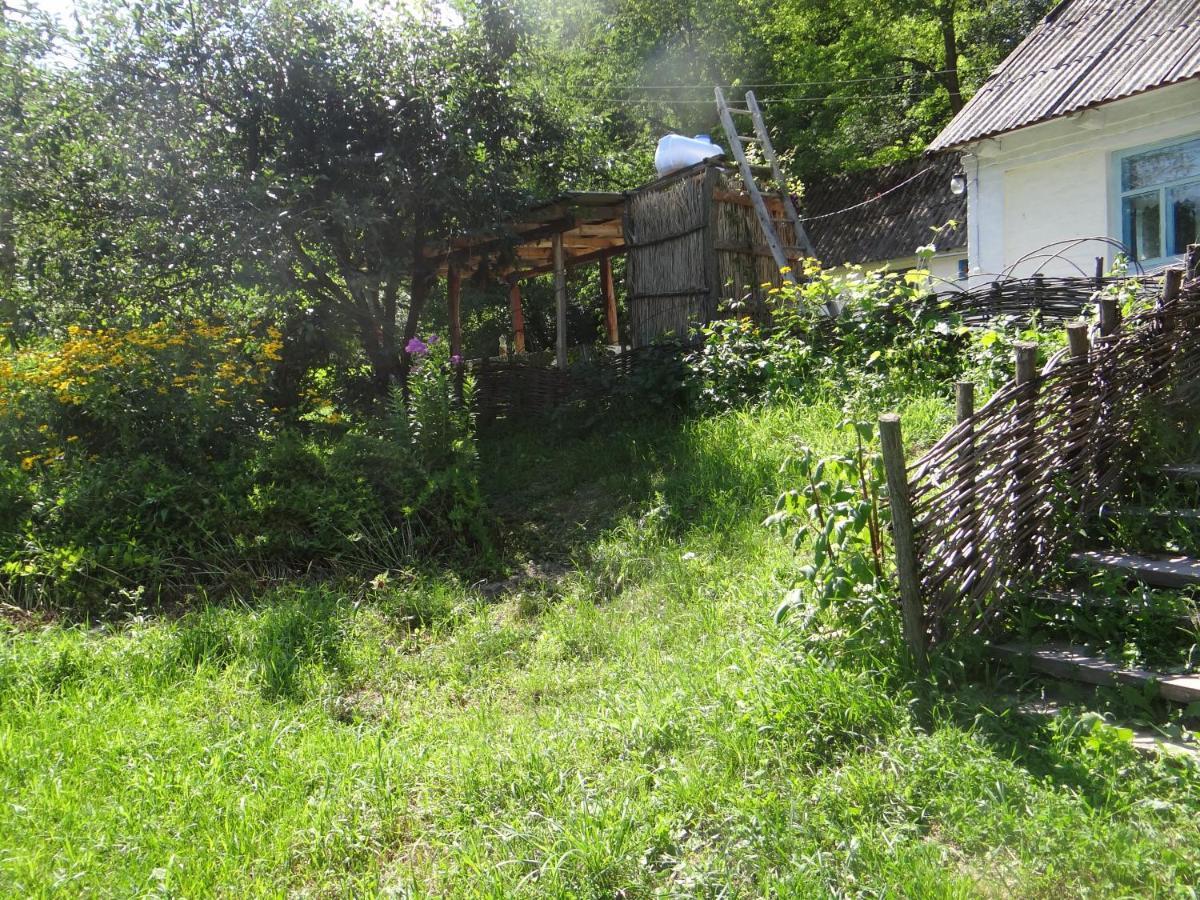 Maliovnytsya Pension Dybintsy Buitenkant foto