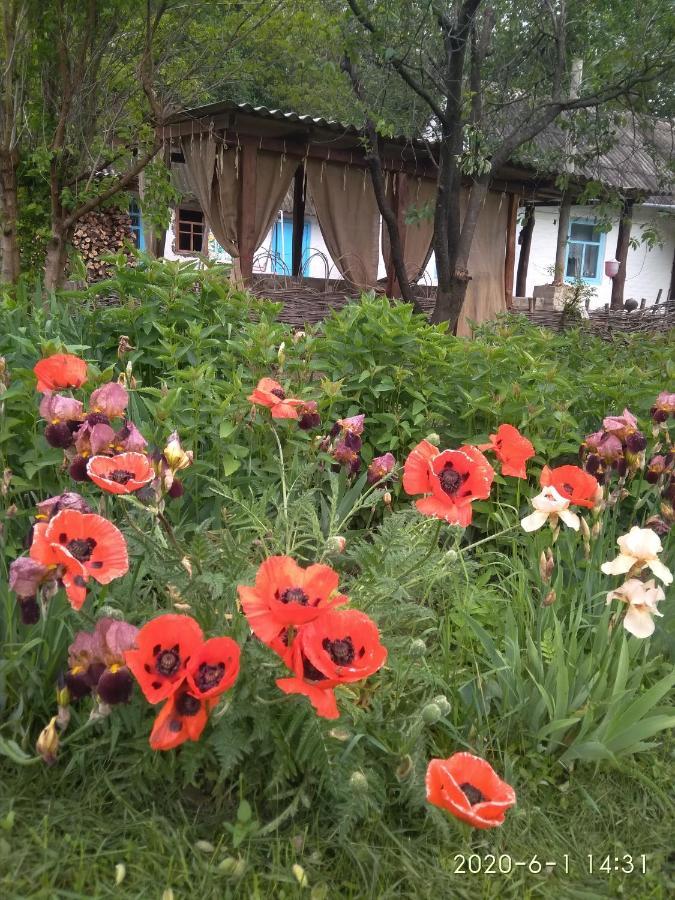 Maliovnytsya Pension Dybintsy Buitenkant foto