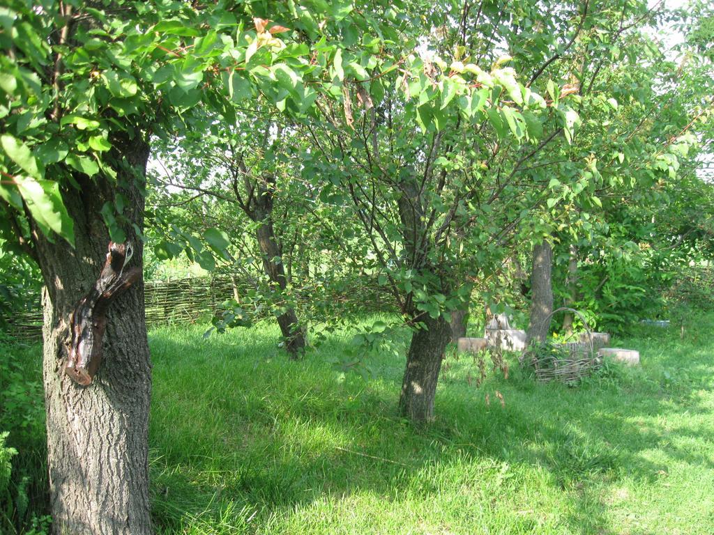Maliovnytsya Pension Dybintsy Buitenkant foto