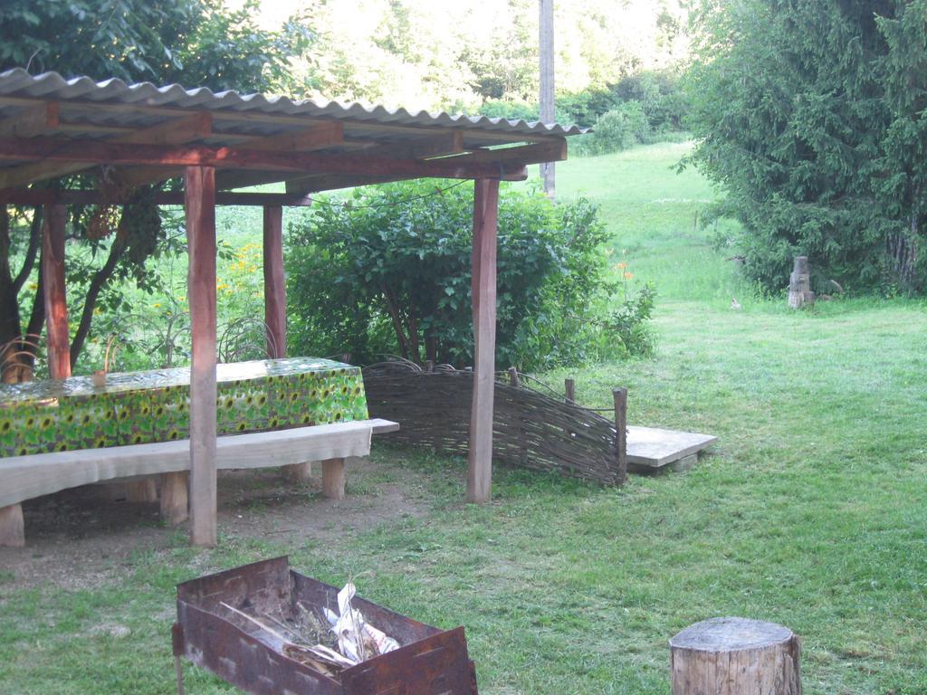 Maliovnytsya Pension Dybintsy Buitenkant foto