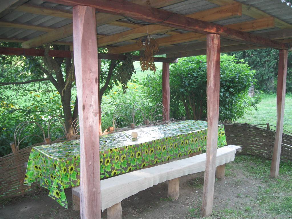 Maliovnytsya Pension Dybintsy Buitenkant foto