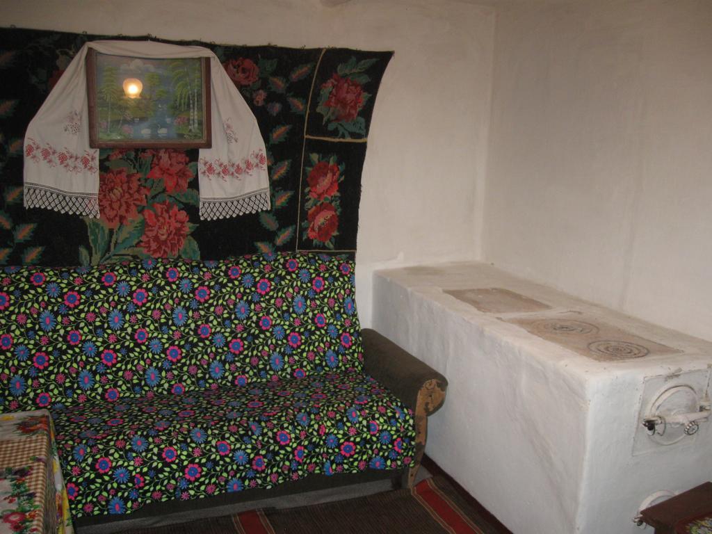 Maliovnytsya Pension Dybintsy Buitenkant foto
