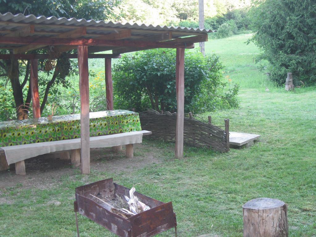 Maliovnytsya Pension Dybintsy Buitenkant foto