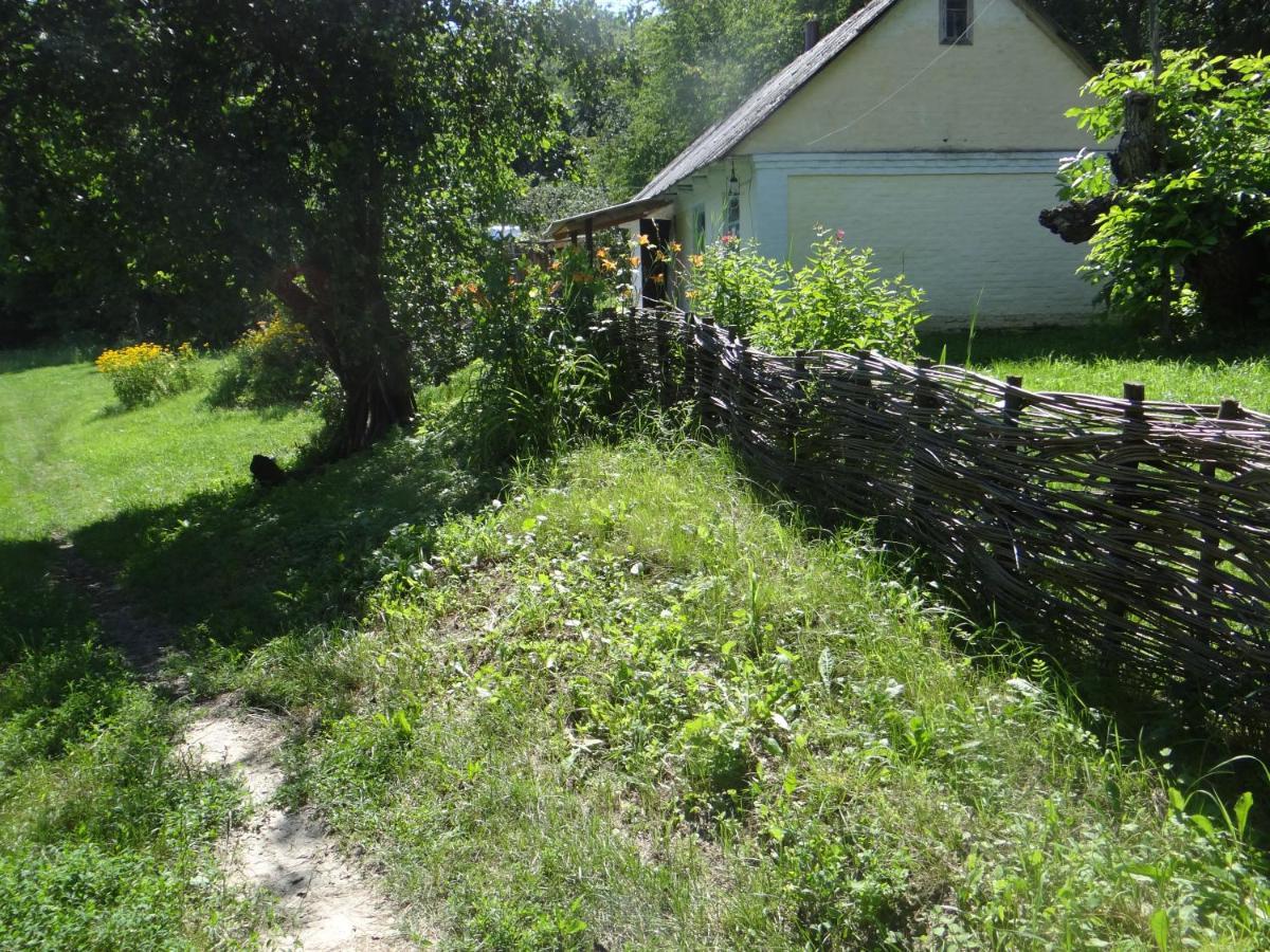 Maliovnytsya Pension Dybintsy Buitenkant foto