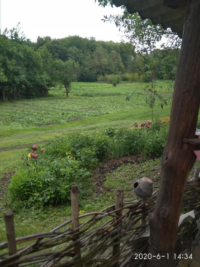 Maliovnytsya Pension Dybintsy Buitenkant foto