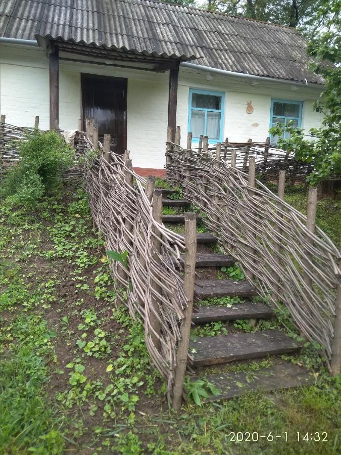 Maliovnytsya Pension Dybintsy Buitenkant foto